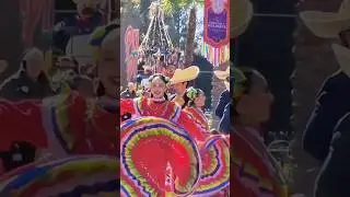 How can you not love this remix? It goes so perfectly with the vibe of ¡Viva Navidad! at DCA