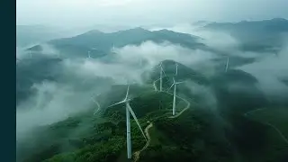 Gestão Carbono
