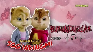 Janob Rasul-Sogʻindingmi (New Version 2021) Burunduqlar