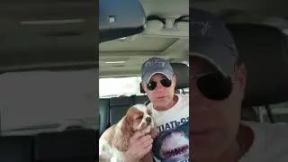 Анекдот. Спортзал...