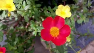Meditation Relax Music Channel presents Positive Relaxing Music