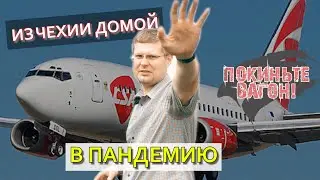 Как съездить на родину в пандемию и вернуться / ПОКИНЬТЕ ВАГОН