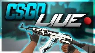🔥 CS GO 💥 AO VIVO 💥PROJECT FELZ 🔥