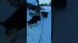 Утренняя зарядка на свежем воздухе