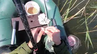 Соблазнил карася
