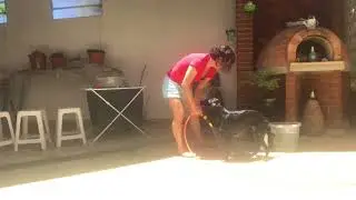 Rotina de banho da minha Tina
