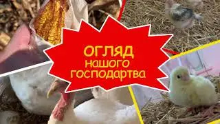 Огляд нашого домашнього господарства