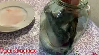 Малосольная селёдочка!