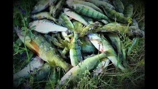 Canada Fishing | Extreme
