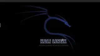 Running Kali Linux Online