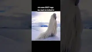 этот мем из 2027 года