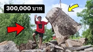 โรงงานผลิต เฟอร์นิเจอร์ไม้ อ่างทอง