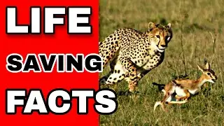 Life Saving Facts|Part-1|Fact2Fact| 