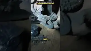 Кладоискатель обнаружил древний тайник под землей