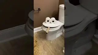 The toilet is smoking!