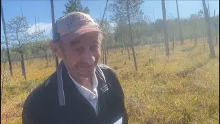 Миссия выполнима: клюквенные хроники высоковского болота