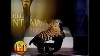 TIGERS CLAWED UP THE COLOSSEUM: ET