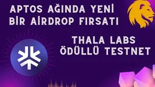 THALA LABS’İN ÖDÜLLÜ TESTNETİNE KATILIYORUZ !!!