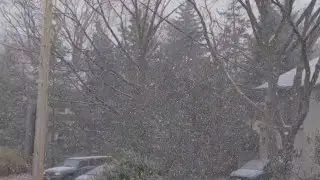 Second snow of the year and it's only November. Crazy!