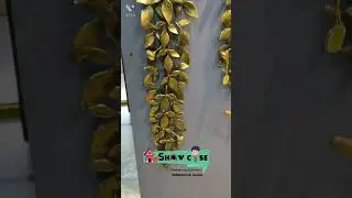 A beautiful wall decor Brass Creepers for wall