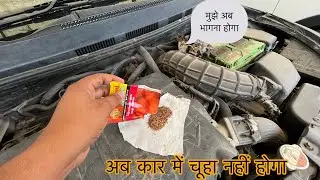 car se chuhe kaise bhagaye || how to get rid of rats | method to get rid of rats