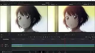 Software - Create LUTs in Davinci Resolve + Import LUTsTopaz Video AI.