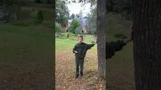 ИВАН ЛЕВКОВ. ✨