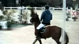 Ramdam 5 ans, 1è qualificative au Championnat de Gesves 2010