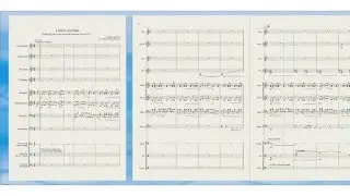 Little Lion Man - Mumford and Sons (Percussion transcription)