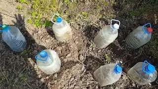 Посев арбуза и дыни в открытый грунт,всё мульчирую