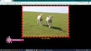 How to center an Image in HTML 5 and CSS 3