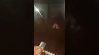 Redmi 43 Inch TV | 5A Series | Black screen problem | #shots #xiaomitv #xiaomiindia
