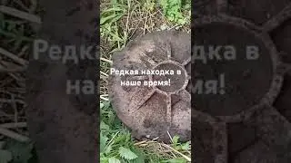 11 мая 2024 г.