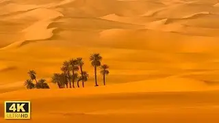 Desert Sahara - 4k HDR 60FPS (UHD) Relaxation Flim With Calming Music