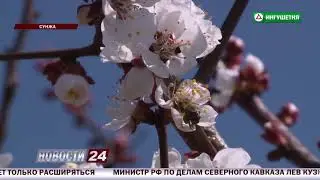 Привлечение инвестиций в АПК