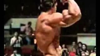 Arnold.3gp