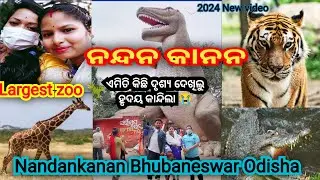 Nandankanan zoo 🦖 || Nandankanon Zoological park || New odia vlog video