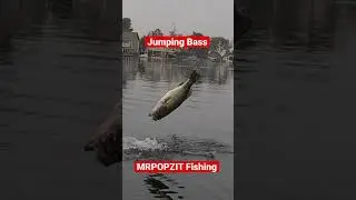 Largemouth Bass gets air! MrPopZit Fishing