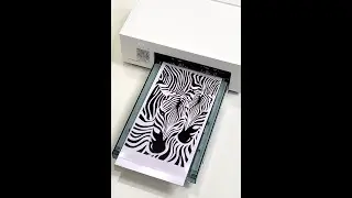 Unboxing and Review of rock space Phone Skin Printer