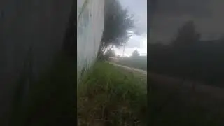 тест