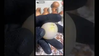 Quitandole la cascara a un huevo sin sacarle la yema ASMR tiktok