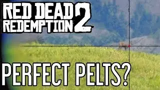 How to Get Perfect Pelts in Red Dead Redemption 2