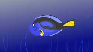 Fish animation.Blue surgeon animation. Fishes