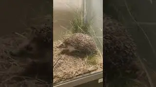 Музей природы, Екатеринбург/ выходные с психологом