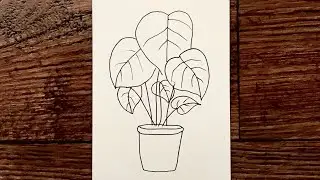 Flower Pot Drawing Easy - Saksıda Çiçek Çizimi
