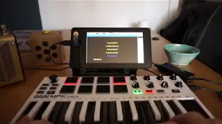 Critter & Guitari Organelle Clone with Raspberry Pi 3 and Pure Data