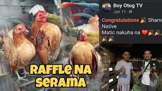 Serama Pang Show / Nakuha sa raffle #serama #seramachicken #ayamserama