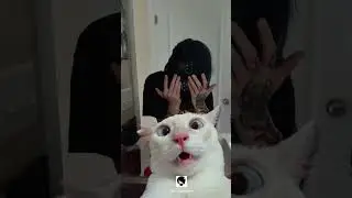 #emoboy