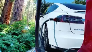 Tesla fahren kostet uns $0 im Monat - Roadtrip zu den Redwoods in Kalifornien!