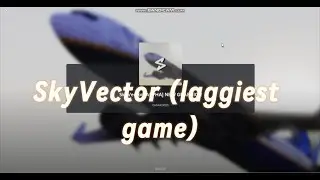 SkyVector review